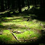 <b> To je mistecko </b>