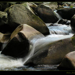 Šumavská Vydra III.