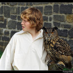 Sokolník z hradu Kost