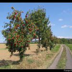 Tento způsob léta zdá se mi docela příjemný