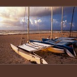 Mořští vlci ještě spí