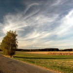 CESTA