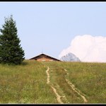 Malá Fatra - strom, chata, skála a mráček