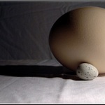 Můžu se trochu přitulit?