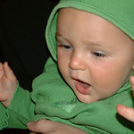 Skřítek hospodský