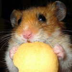 No snad mě bude chutnat ...