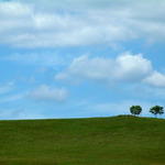 Windowsová tapetovka