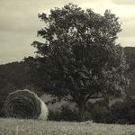 tak ještě jedna balíkovka... :-)