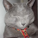 athos
