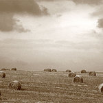 Taky jedna balíkovka