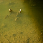 <b>Waste -=- Odpad</b>