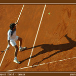 Motion on the sport field - tennis