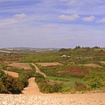 Strážnice - panorama