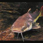 První 3D fotka na PP!