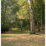 Z podvečerní procházky