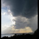 Dalmátske búrkové nebo