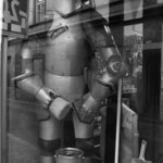 Ako slon v porceláne