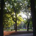 park