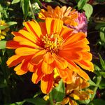 Ještě kousek léta