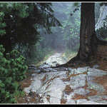 Tatranska cesta