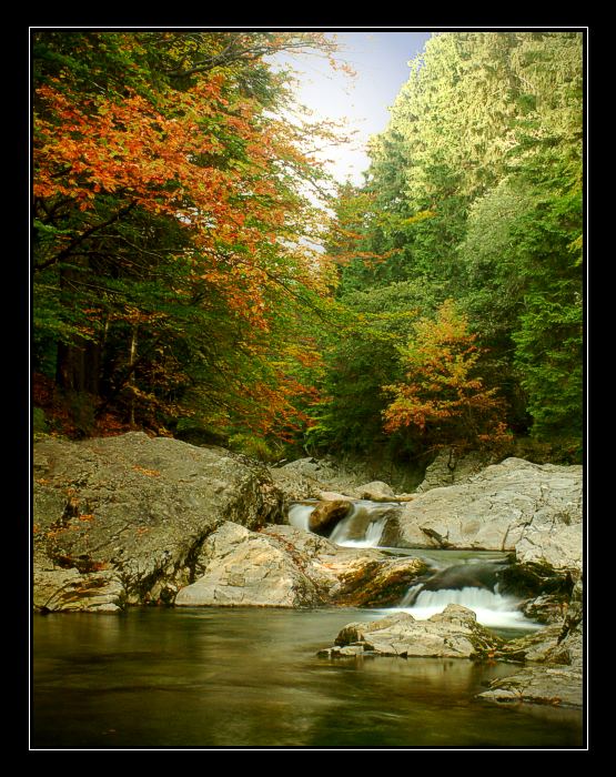 ...KDYŽ PODZIM PŘICHÁZÍ