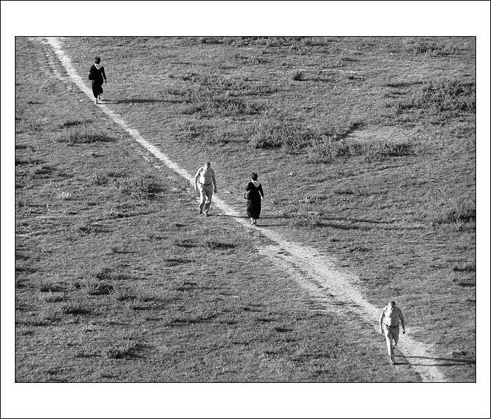 Náhodné setkání...