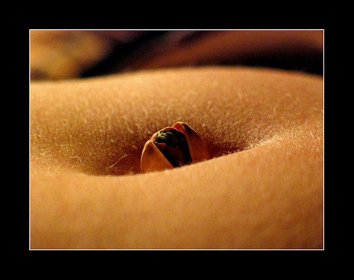 .: Pistáciová :.