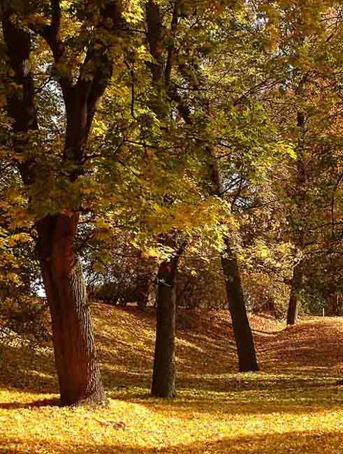 Park v Krásném Dvoře