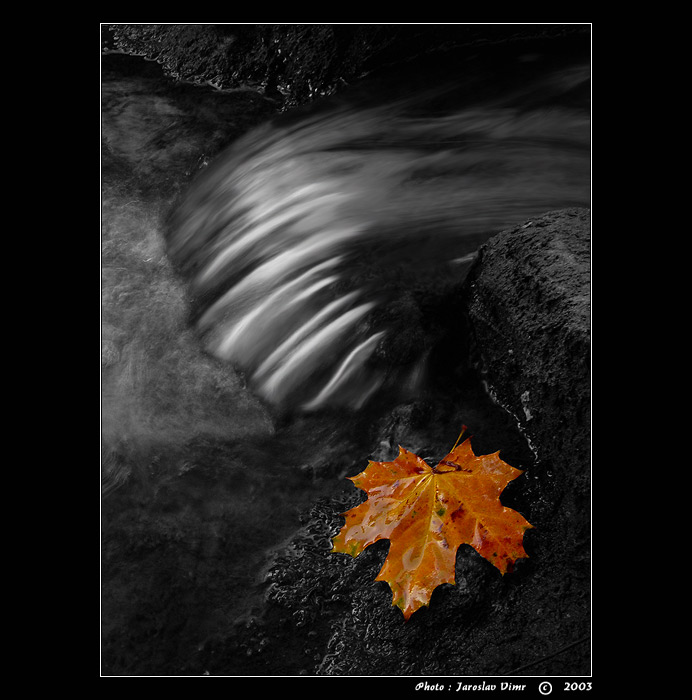 <b> ... P O D Z I M ... </B>