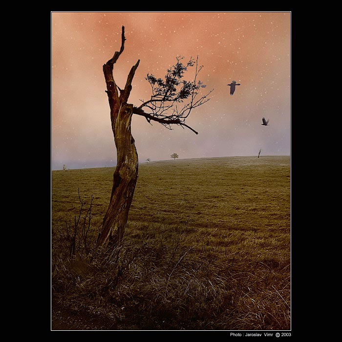 <b>- PRVNÍ VLOČKY -</b>