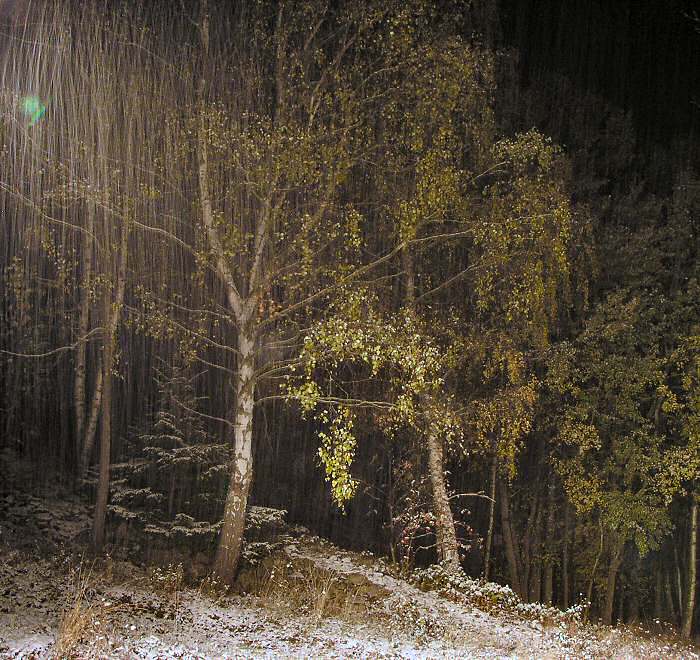 ..:: Sněží 2::..
