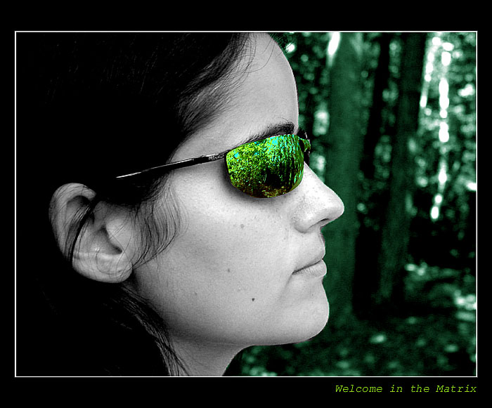 Welcome in the Matrix