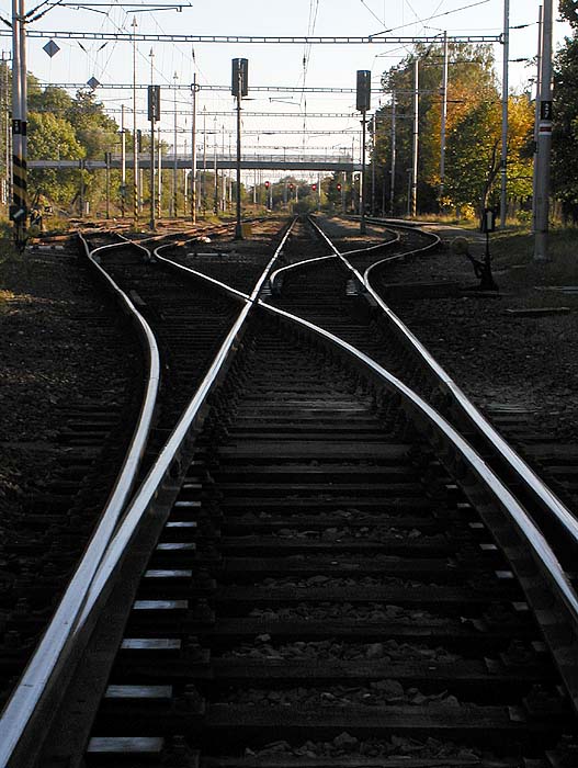 Volnost a svoboda...