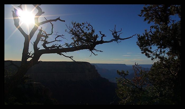 Good night Grand Canyon