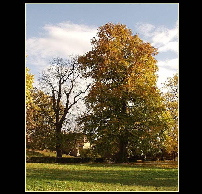 <b> ..:: Classic Autumn Photo ::.. </b>