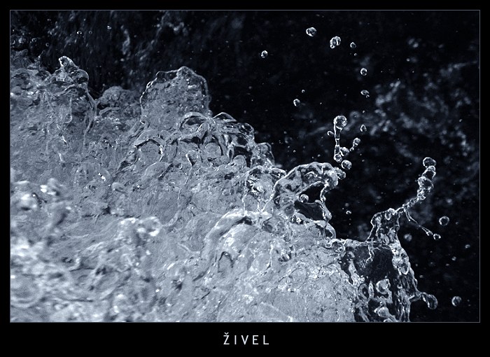 Živel