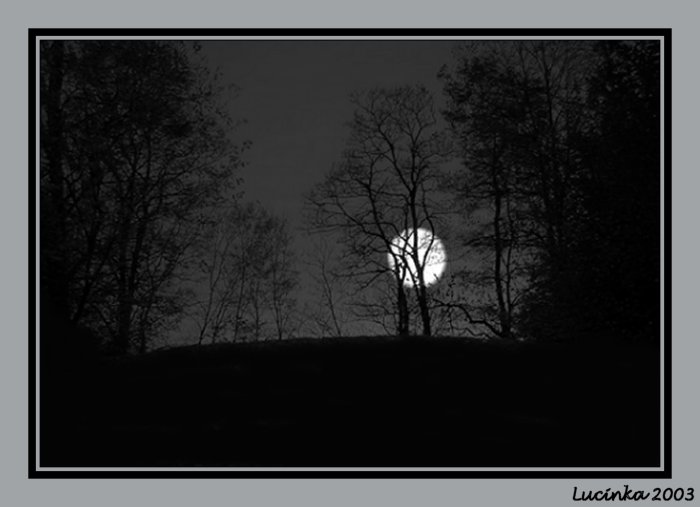 Sám uprostřed noci...