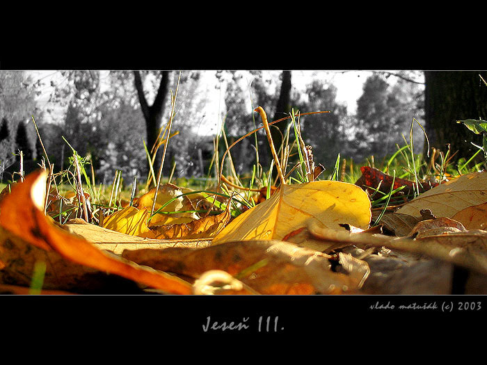 JESEŇ III