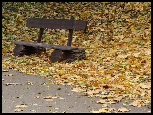 podzim...