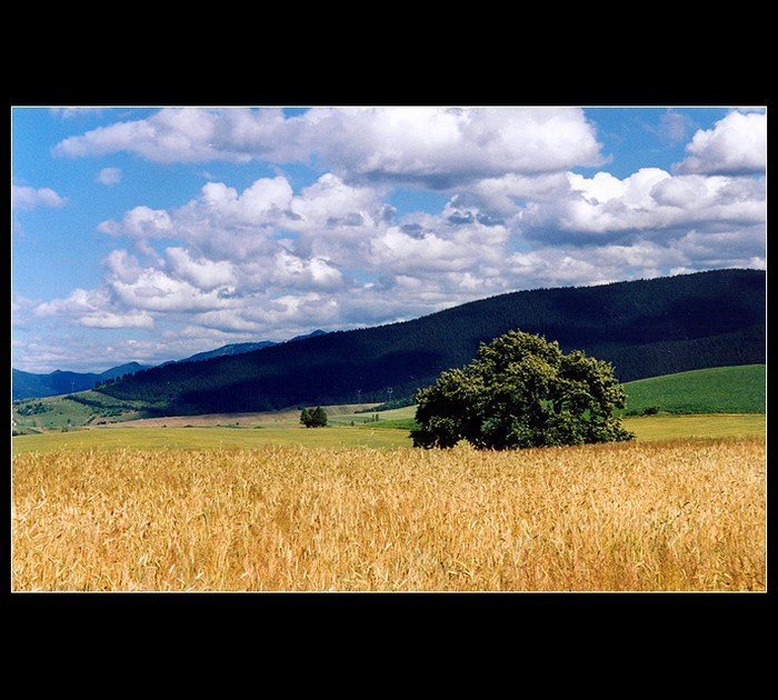 Krajina