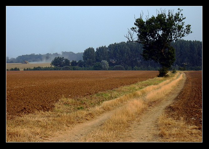 footpath za nasi vesnickou