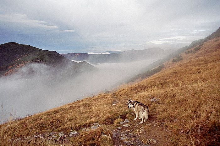 Nizke tatry I.