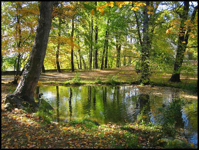 Podzimni pohoda
