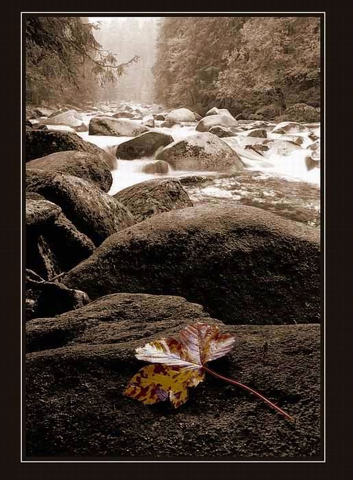 Šumavské pohlednice   Malý cestovatel