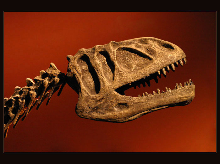 Udělej sýýýr :-)