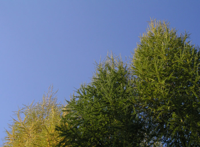 Přišel podzim, vybarvi se jak umíš