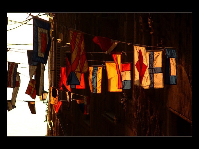 <b>SIGNAL FLAGS</b>