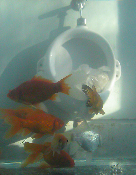 Momentka z WC