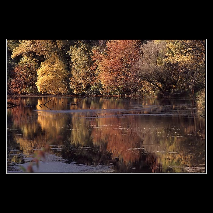 Colours of autumn