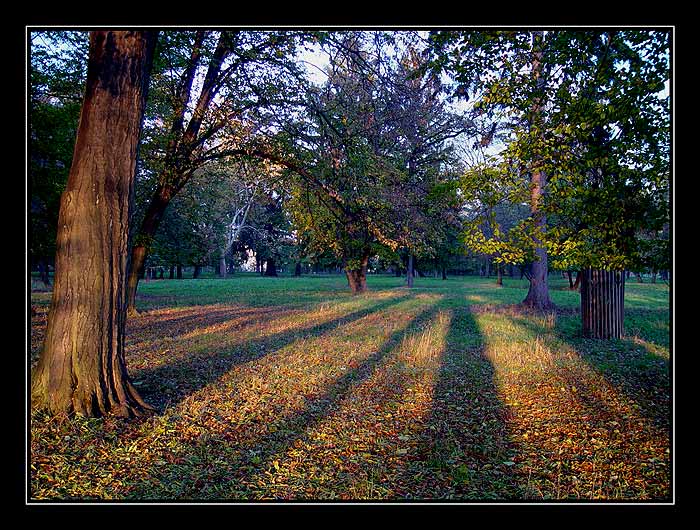 Podvečer v parku